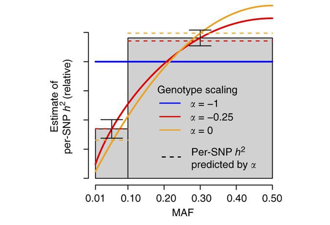 Figure 2a from [Doug Speed et al.](https://doi.org/10.1038/ng.3865)