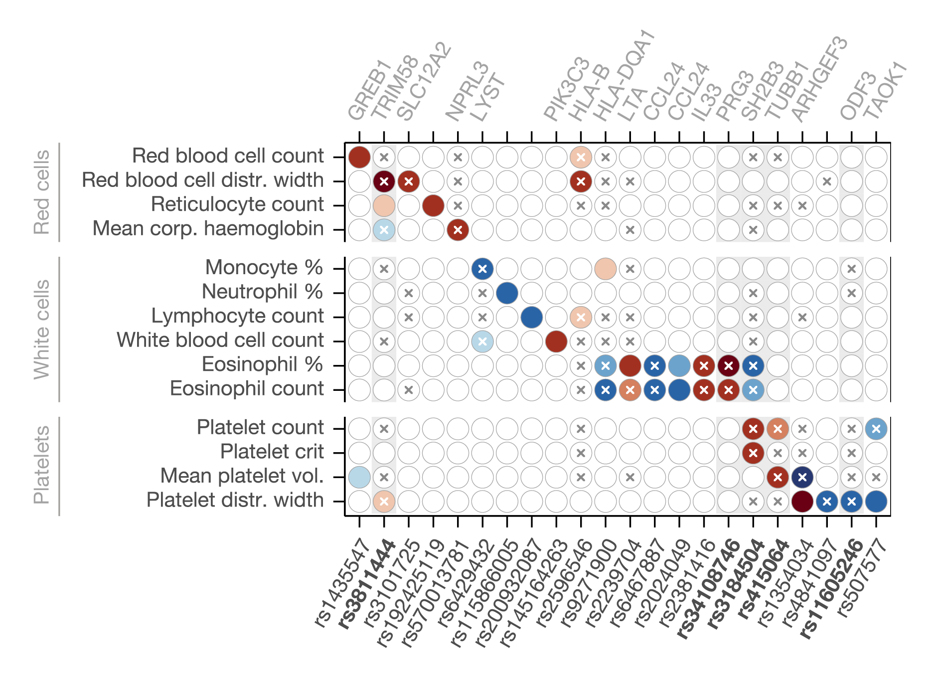 Matrix displaying overview of all interactions between SNPs and PGSs identified for phenotypes in the blood cell count category in Ferreira et al. (2025)